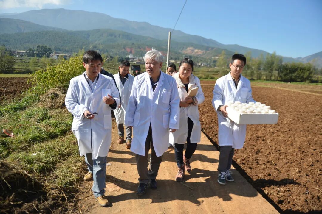 上海交大环境2026澳门跑马图与中超
